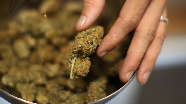 toronto cannabis delivery